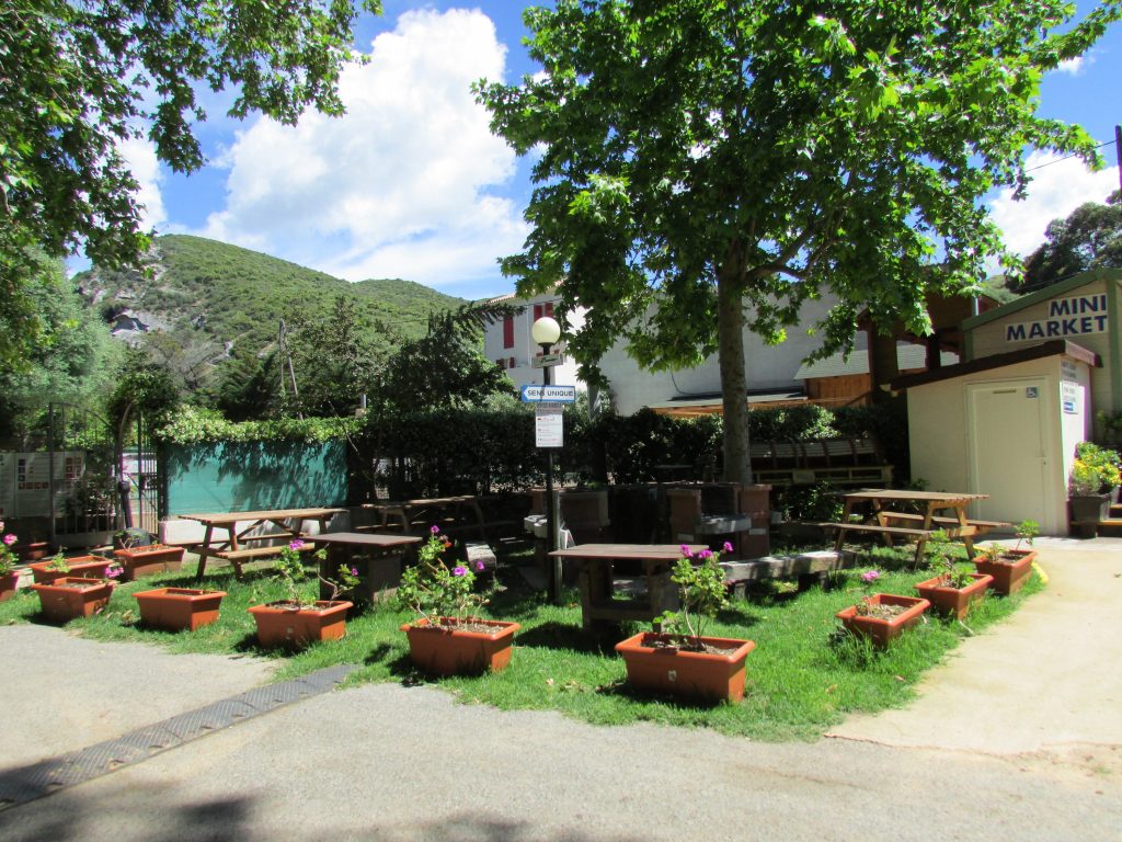 camping olzo en haute corse