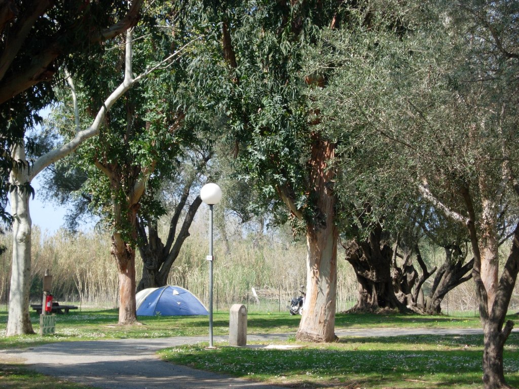 logement en haute corse