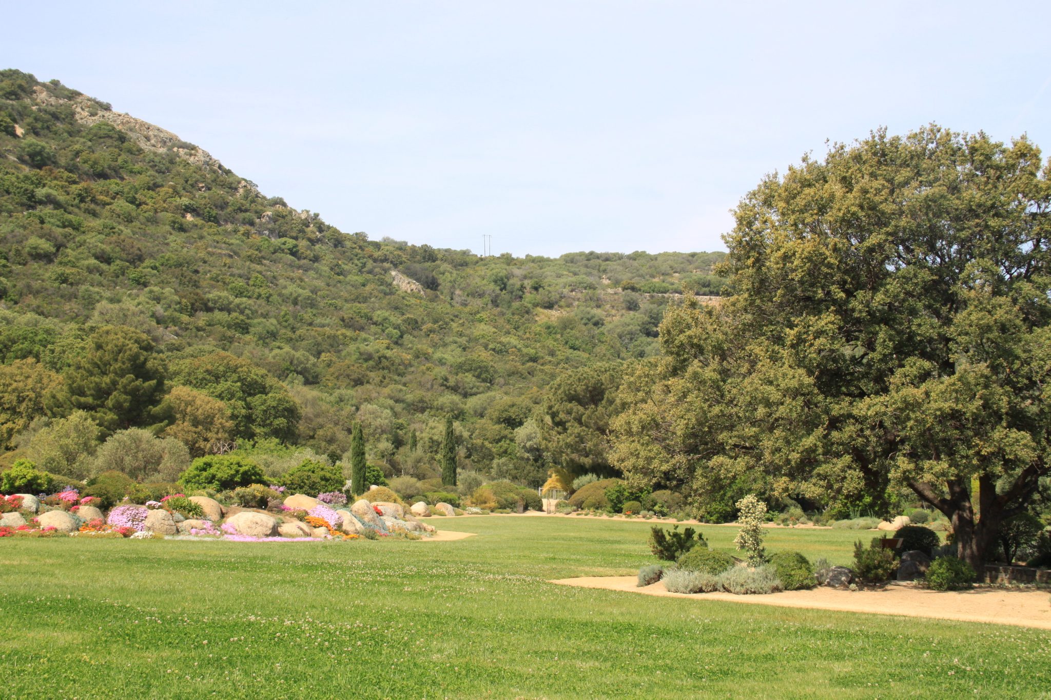 Parc de Saleccia en Haute Corse